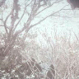 Meet your Posher, Melody chang